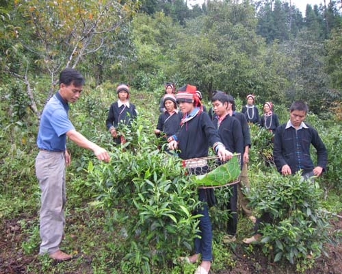 Tỉnh Hà Giang Gắn dạy nghề cho lao động nông thôn với Chương trình xây dựng nông thôn mới